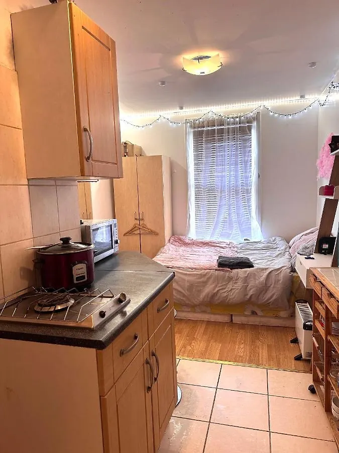 Studio Flat In Stratford Apartment London